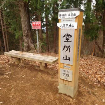 復路は堂所山から分岐した尾根を行きます