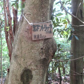 北ドントリッジ
熟練者のみの標示
