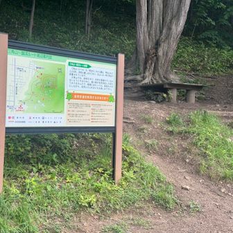 あっという間にゴール！