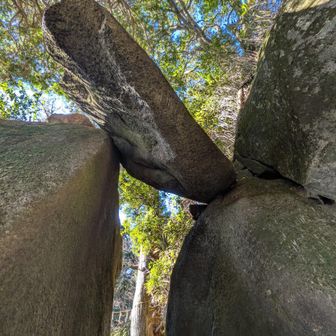 弁慶七戻り真下から
ほんとによう落ちんね〜