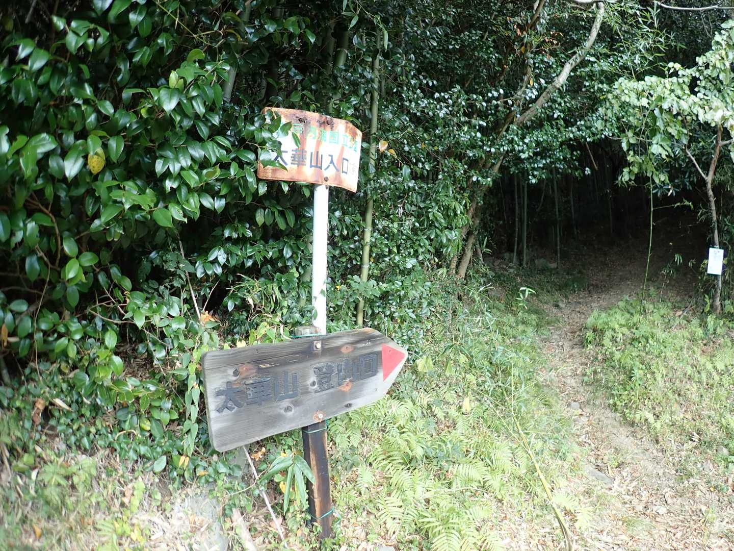 よし、無事下山です！