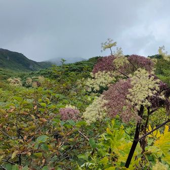 最後にあちら（西側）へ早く行けることを祈りつつ