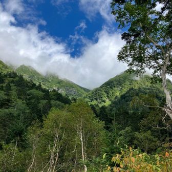 槍平から南岳からの下山道。南岳新道の利用でしたが状態は凶悪でした💔樹林帯に入ってからは大きな岩がゴロゴロしていて、昨日の雨で濡れています。標高で言うと400m程度、滑る急な坂道を下りました💦間違いなく今回の核心部でした😓