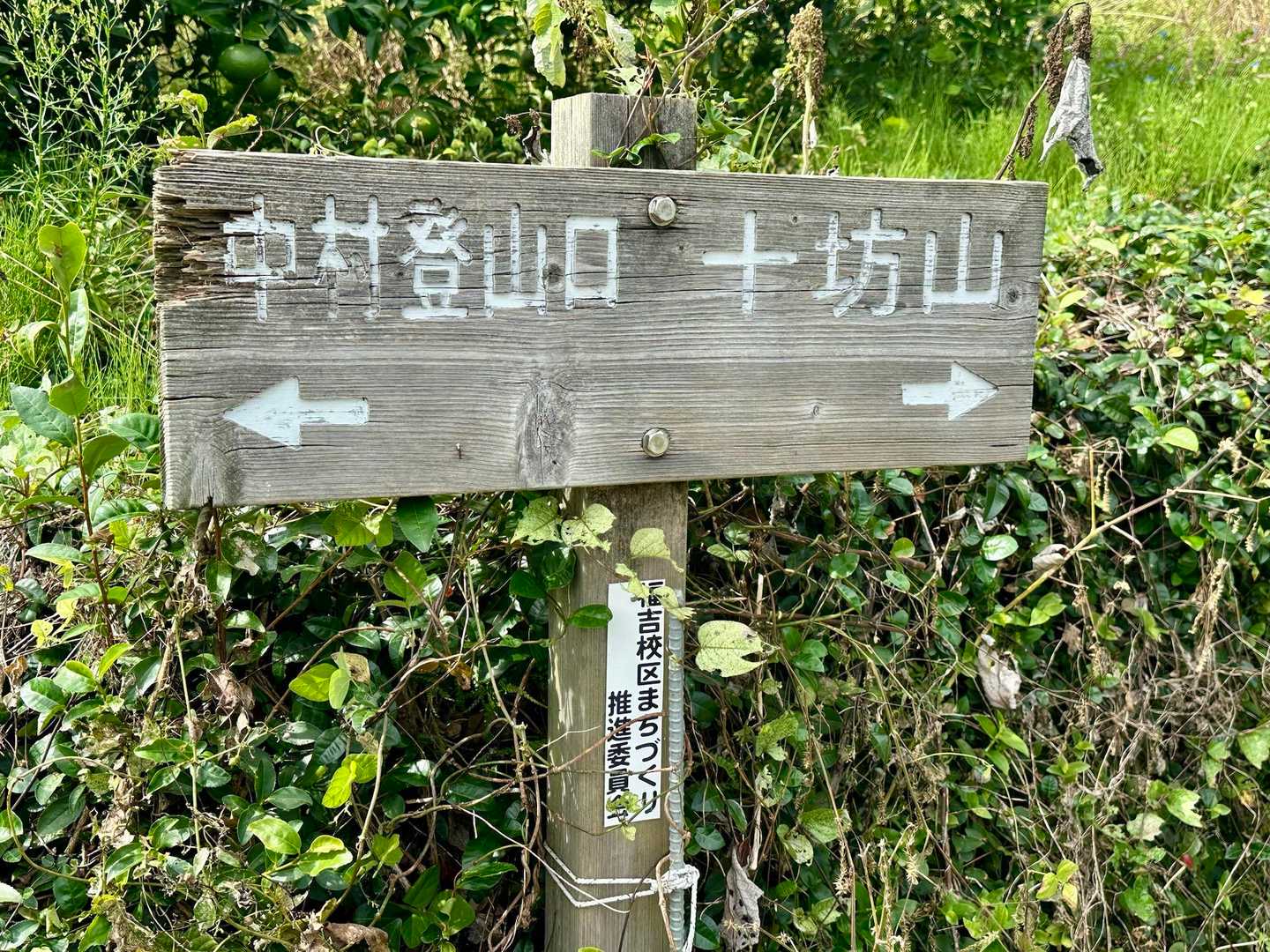 ここ↑
十坊山→に行ったんですが、中村登山口←の方が近かった💧
地図チェックも大事ですね☝️