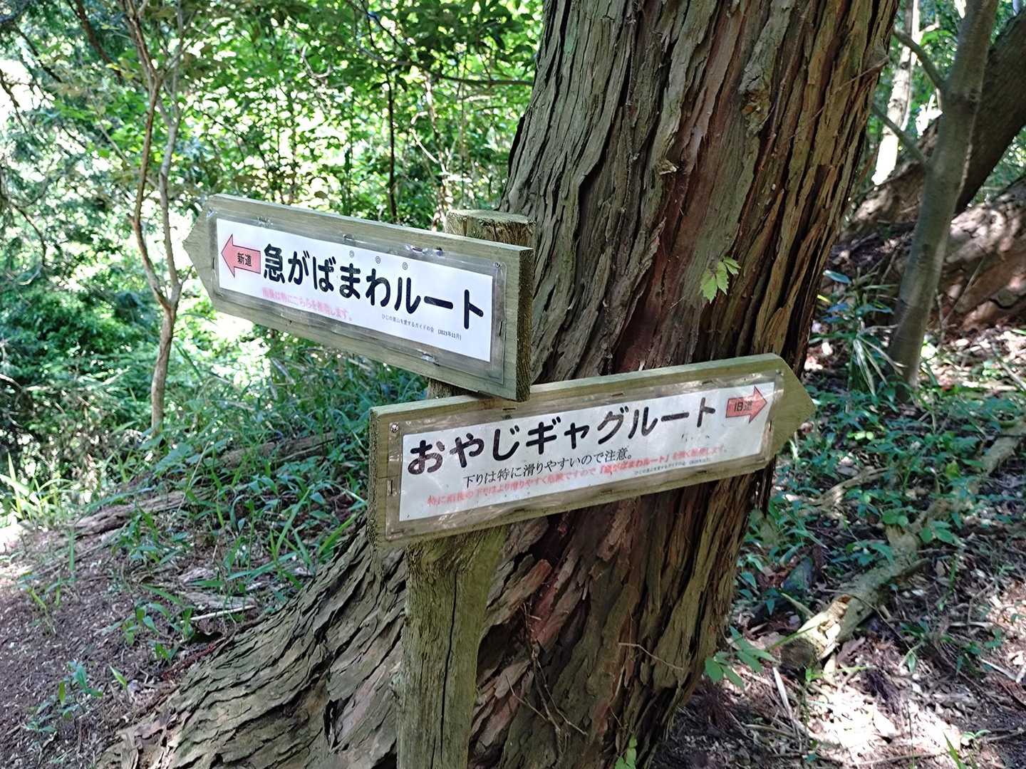 ネーミングが気に入ったのでおやじギャグルートへ🤣
滑らないように（笑）