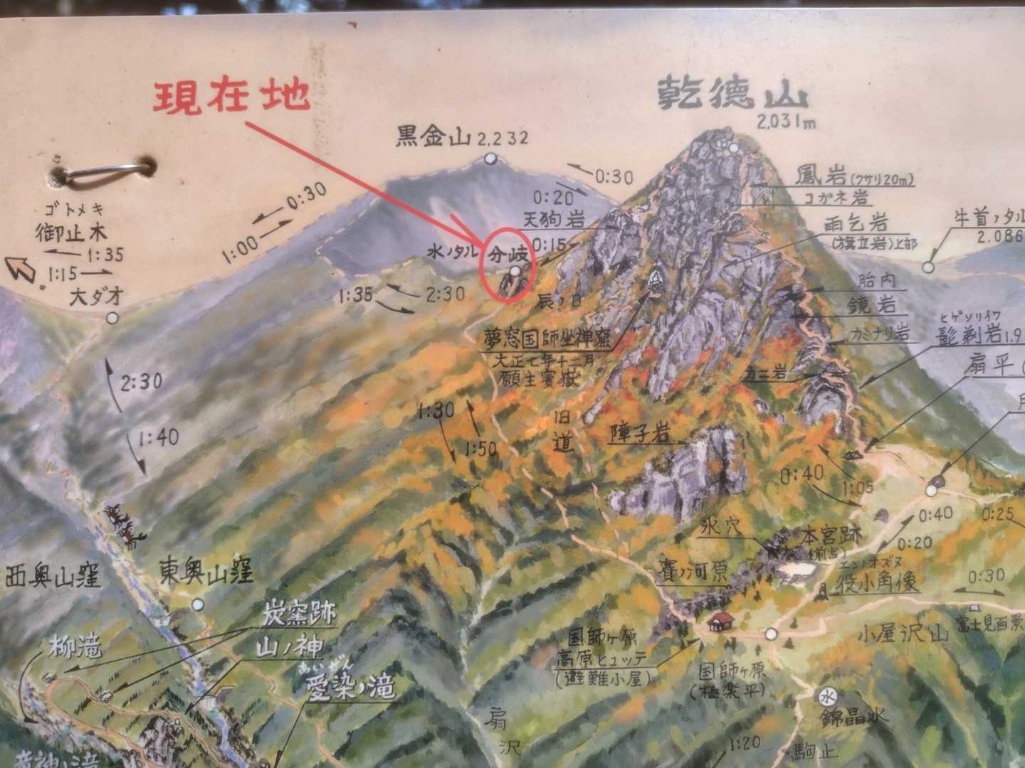 形の正確さより特徴を伝えようという
いわばディフォルメ力が重要な世界だ