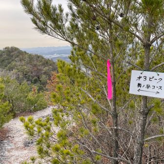 第三ピーク到着⛰️