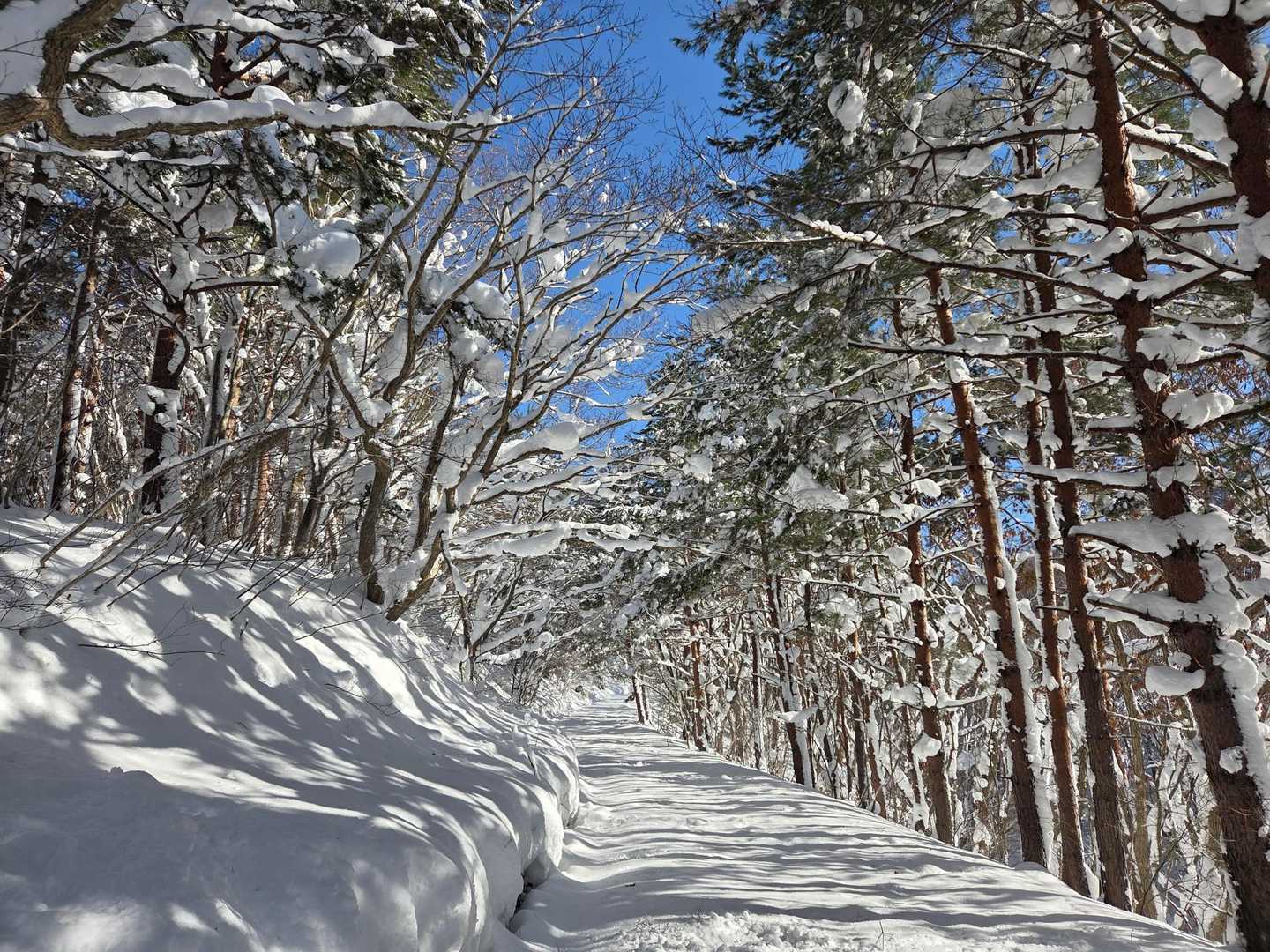 無雪期にはサクサク歩ける道でも雪があると全く違う