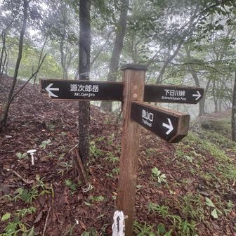 ここからレース前半のコースへ合流