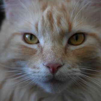 まるさんかくさん