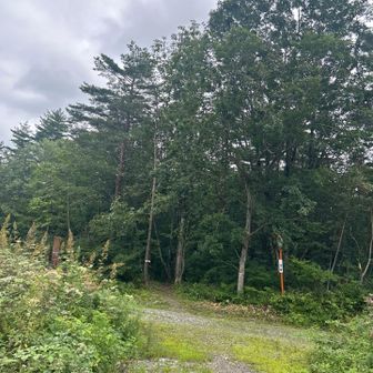 御神坂コース良かったなー