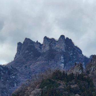 残念ながら、ビジターセンターは休館だったので、芝生広場で休憩してから下山しました。
次回もゆっくり慎重に、安全第一で楽しみたいと思います。


