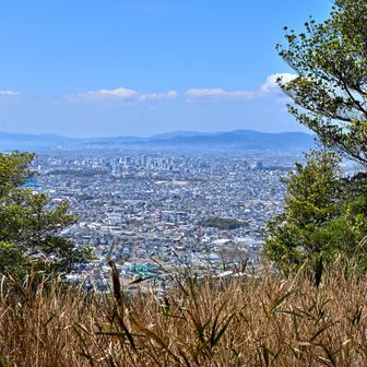 東山手前の三角点より
豊橋市方面