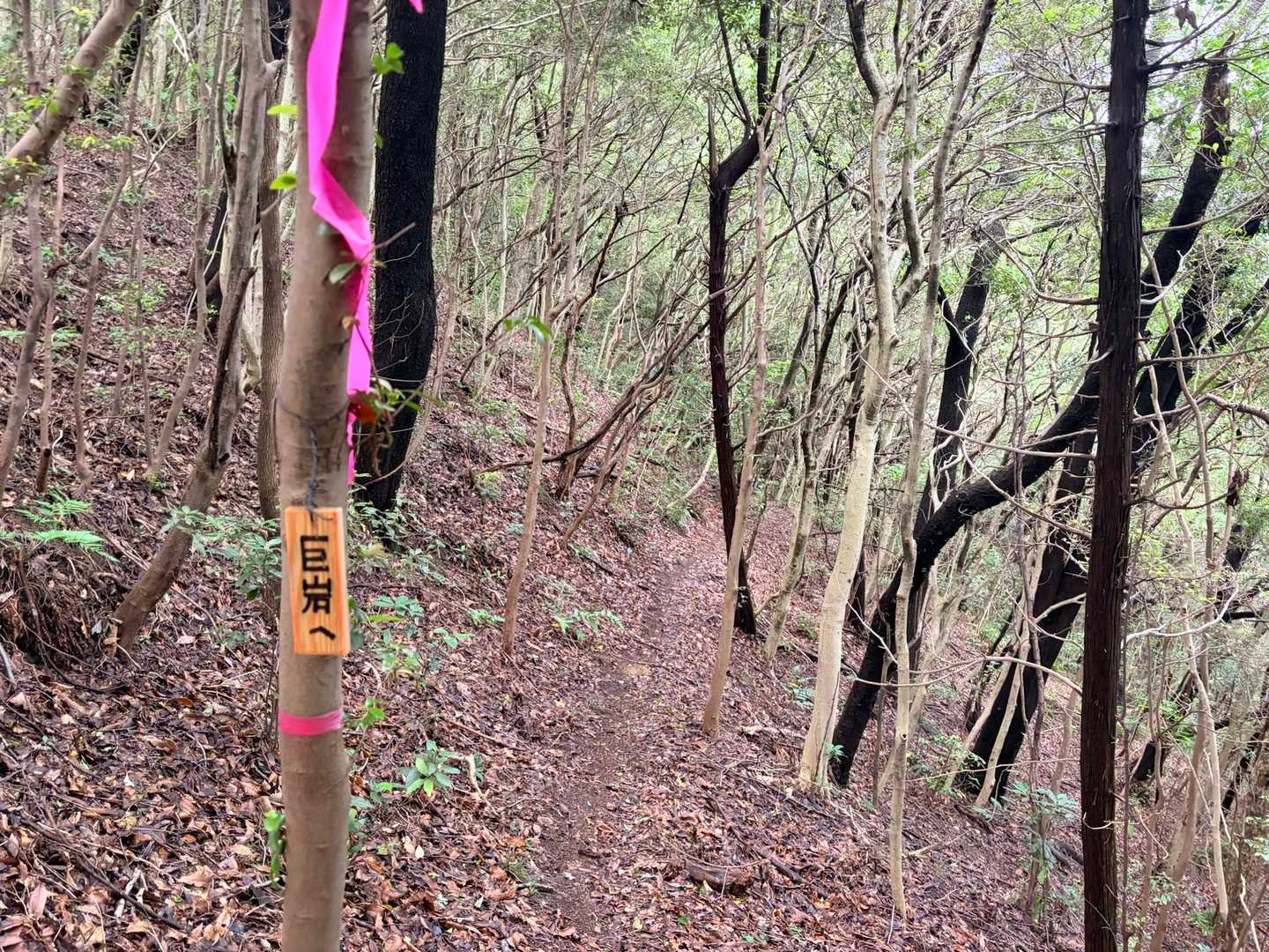 私は東側の巨岩（新立石トンネル）方面に下りて周回します。