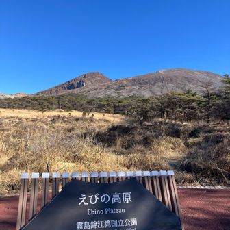 よろしくお願いします！