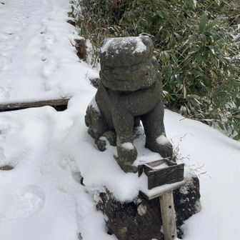 この下の顔が可愛くて、いつもなでなでしてから登り始めます