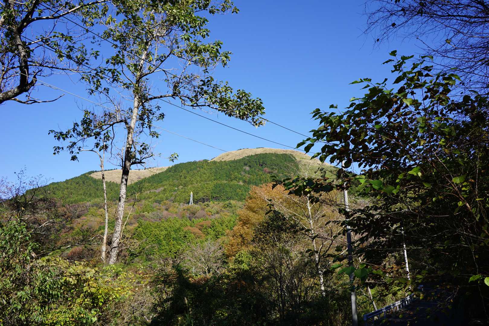 途中のトイレの横から大野山山頂が見えます