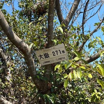 山名標識発見。なにやら自己主張の強い方々が設置した模様…