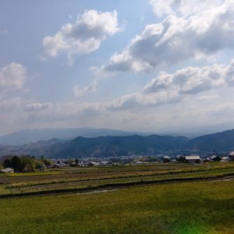 大好きなお酒「風の森」葛城山麓醸造所からの風景
