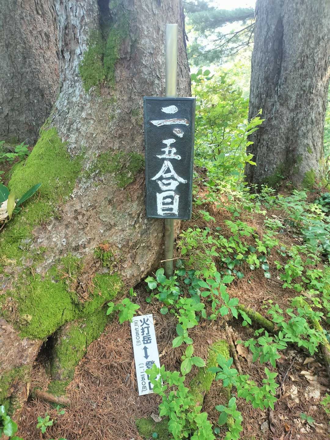火打岳登山口-西火打岳-火打岳 往復コースの写真
