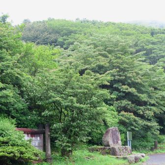 登山口から山頂が望めた。