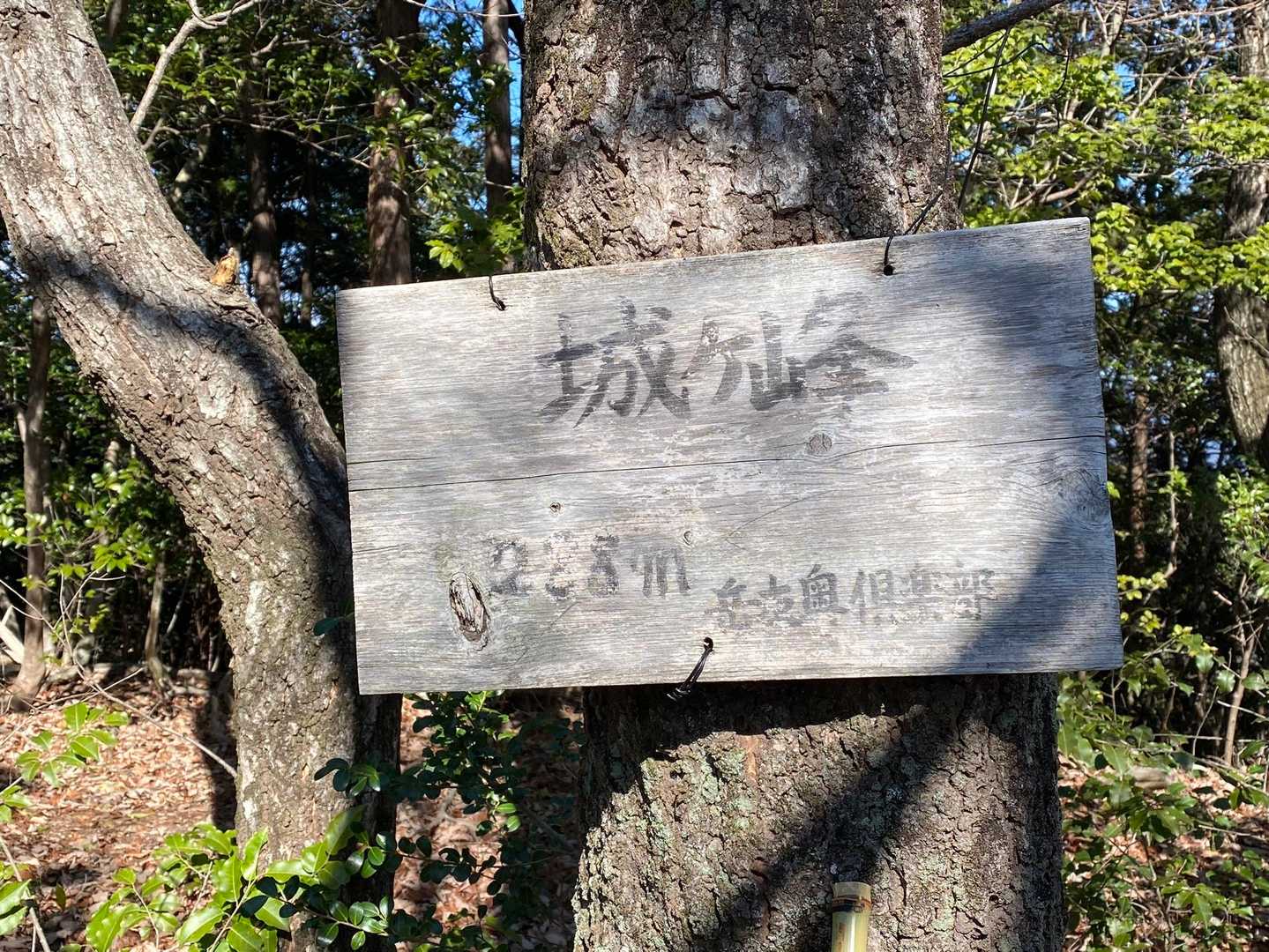 山頂デス