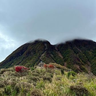 坊がつる方面、三俣山山頂はガスが続くのであった‥。