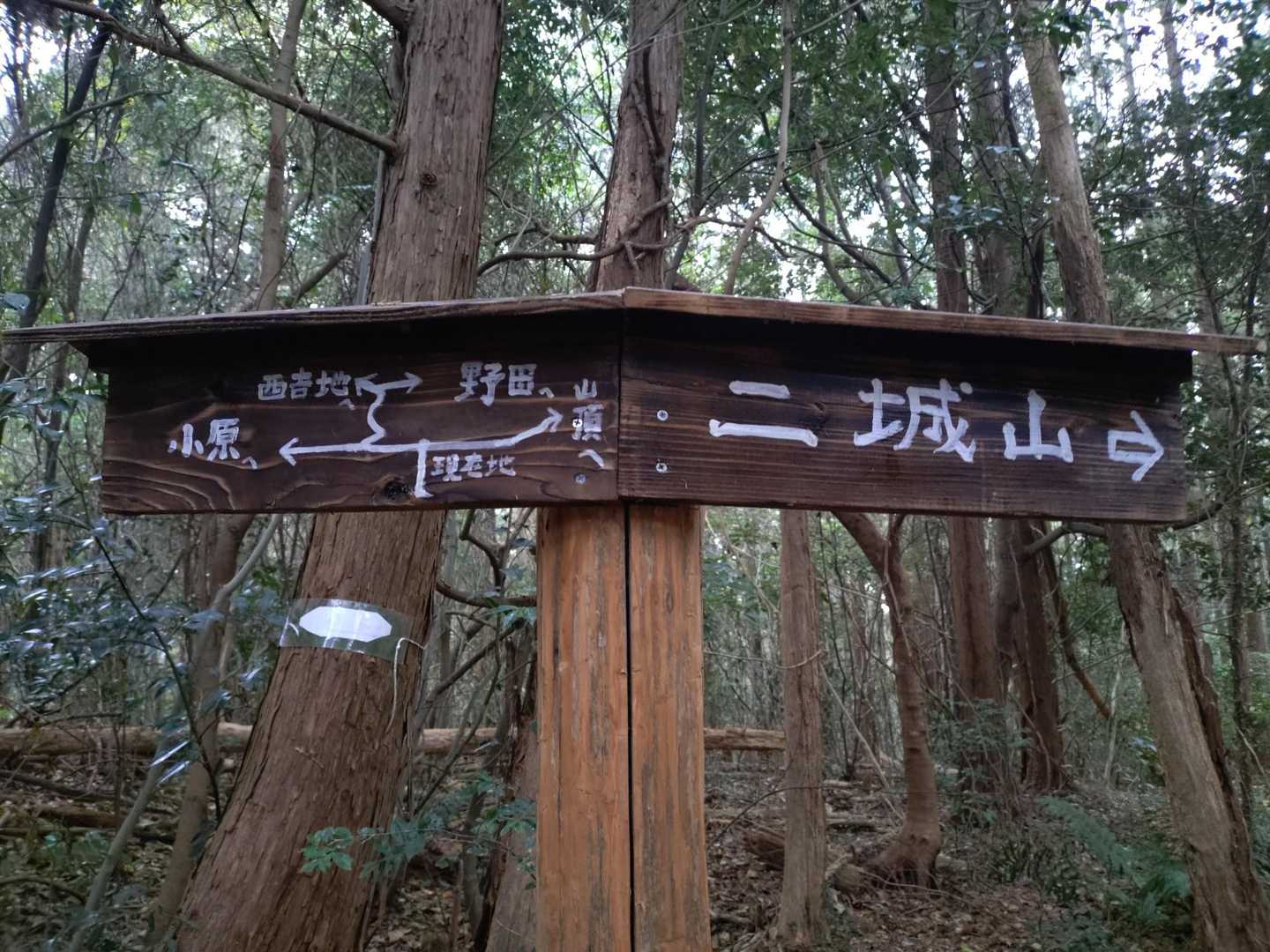 分岐
