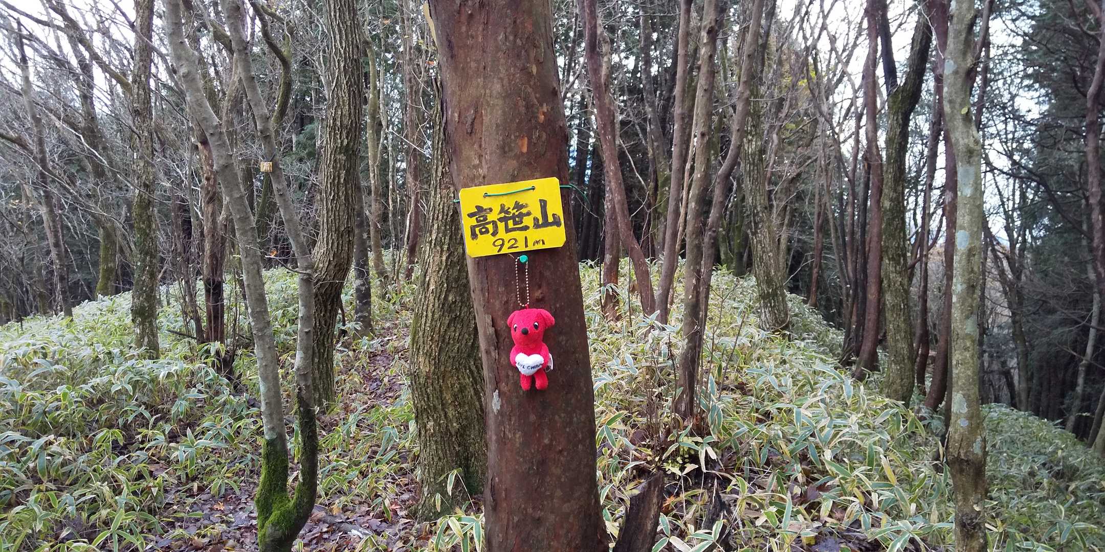 高笹山山頂