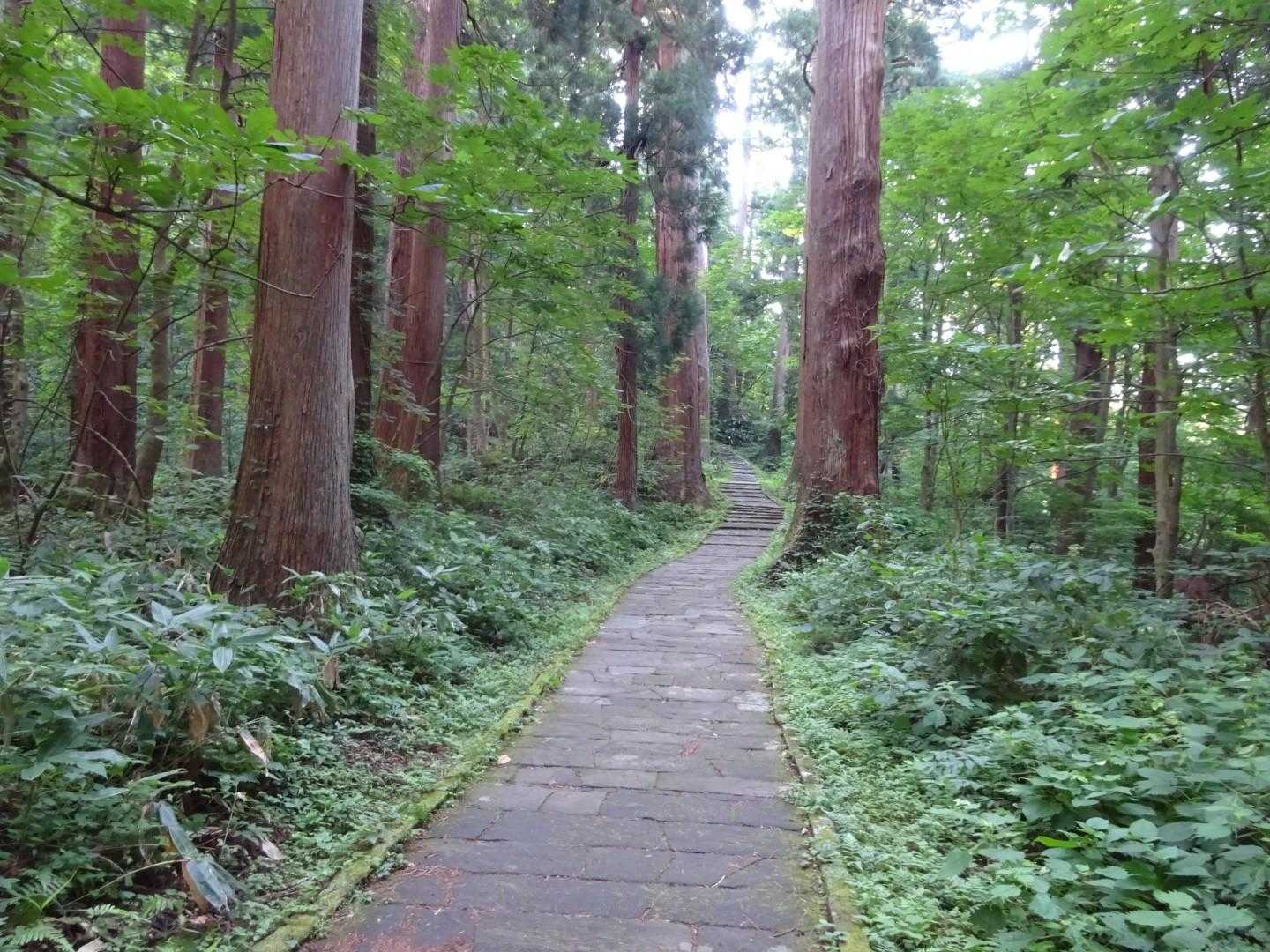 さすがミシュラン・グリーンガイド・ジャパン三つ星だけありますね👍