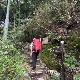 ここから山道　