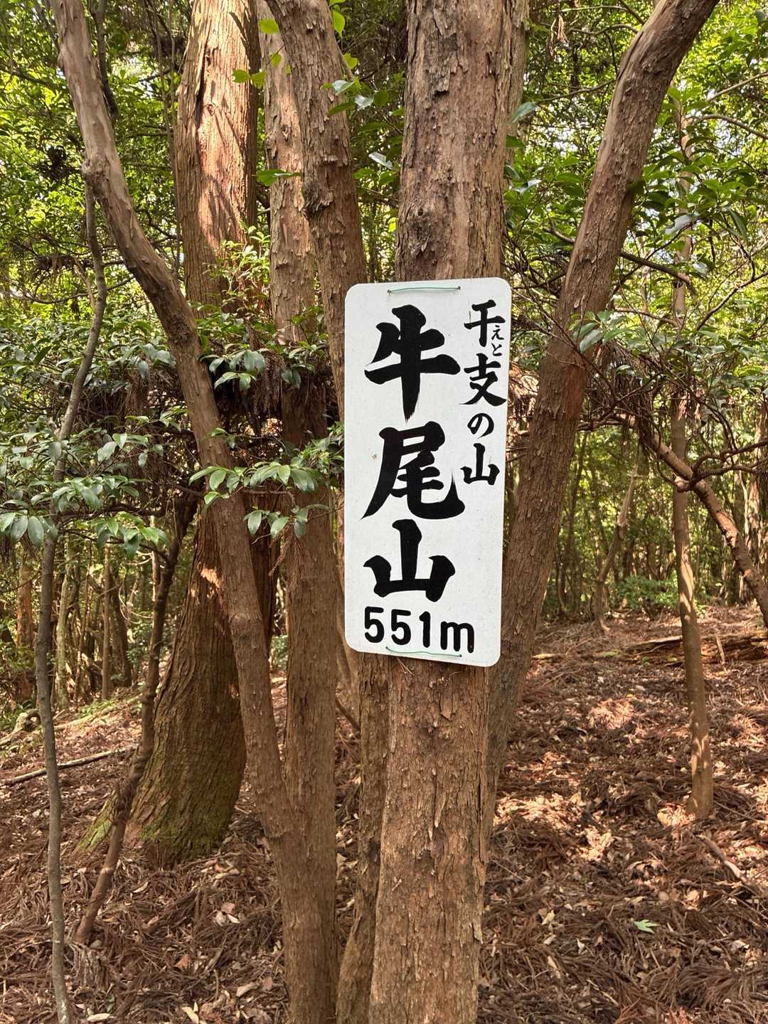 牛尾山