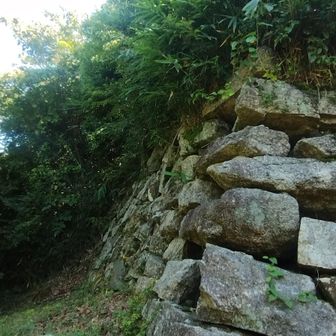 水口岡山城の最大の石垣