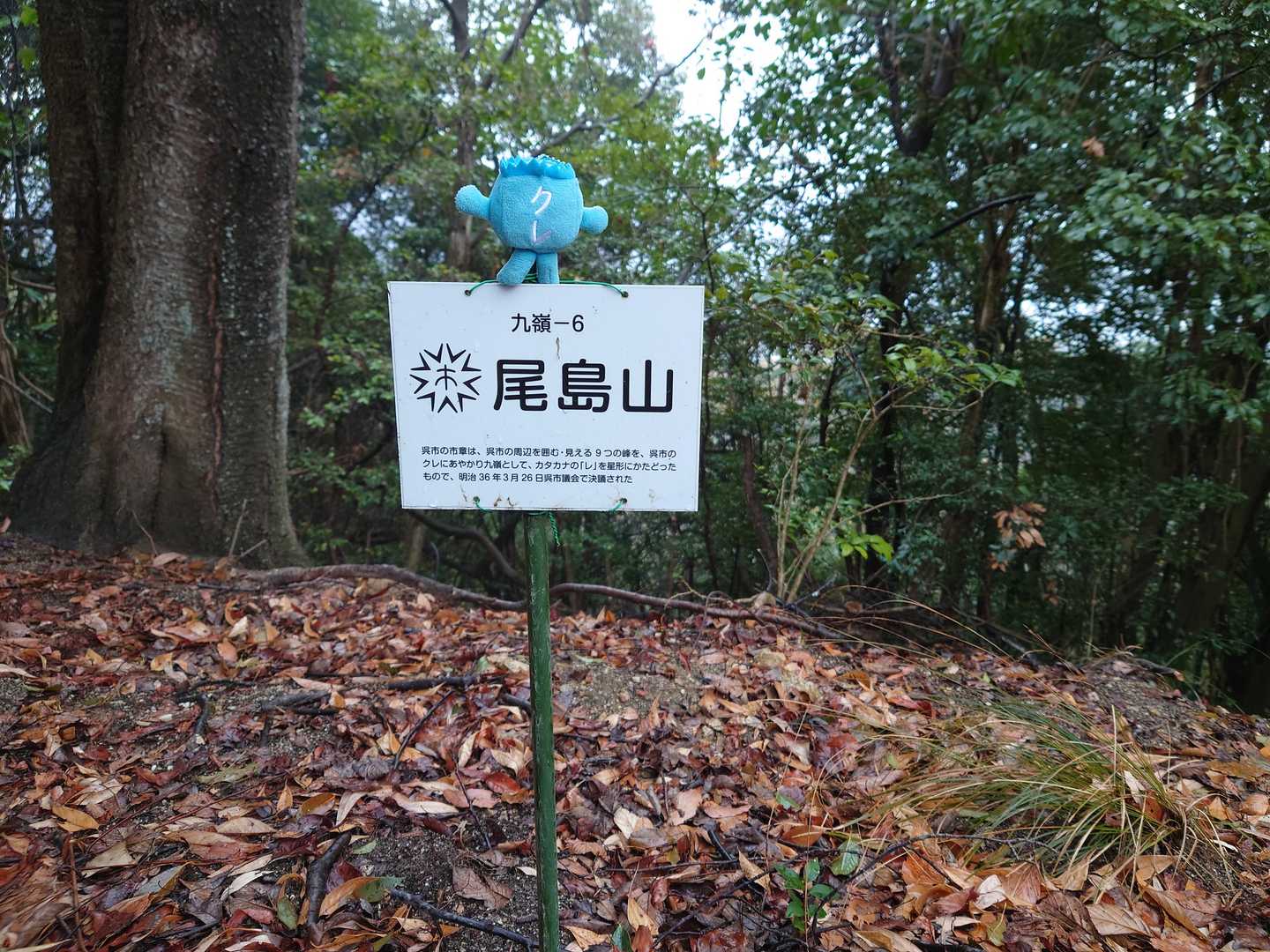 ➅尾島山