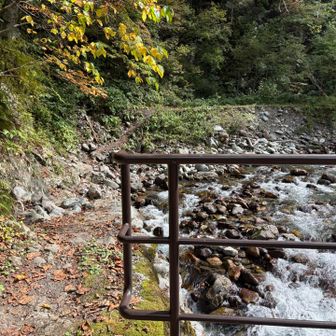 取水施設を過ぎると本格的な登山道となります