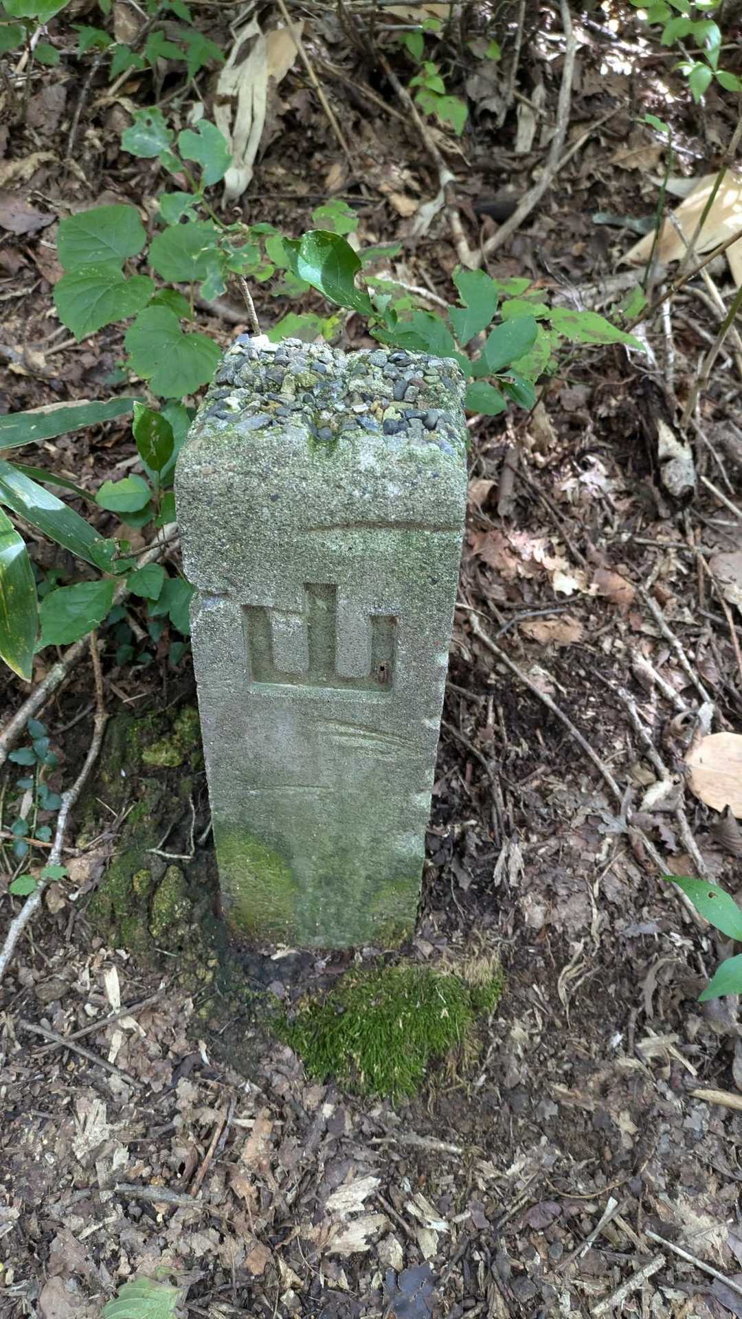 大倉岳登山口-ほとけ峠-大倉岳 周回コースの写真