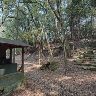 神護寺というお寺があったそうです。
京都の高雄山神護寺と関係があるのかな？
この石段を登っていきます。