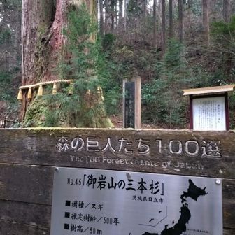 素晴らしい🌳

帰り道眠くて眠くてsanaviさんがナツメロかけてくれて昭和ムード歌謡から荻野目ちゃんのディスコチック歌謡など歌いながら大笑いで眠気吹っ飛んだ〜😆
温泉はバーデン♨️
楽しかったねーありがとう🙏