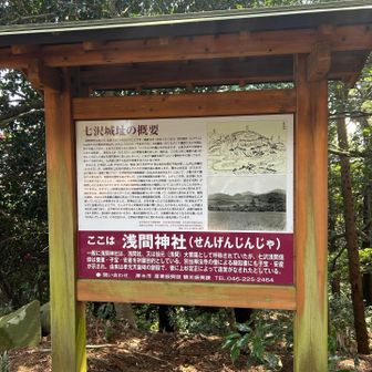 子宝、安産の神様だそう👶