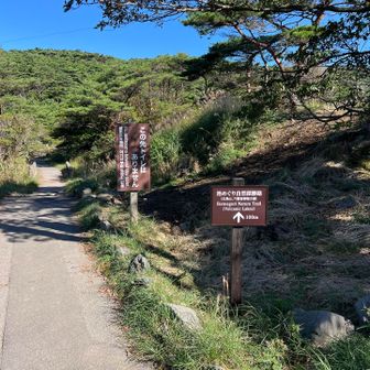 白鳥山に向かうコース