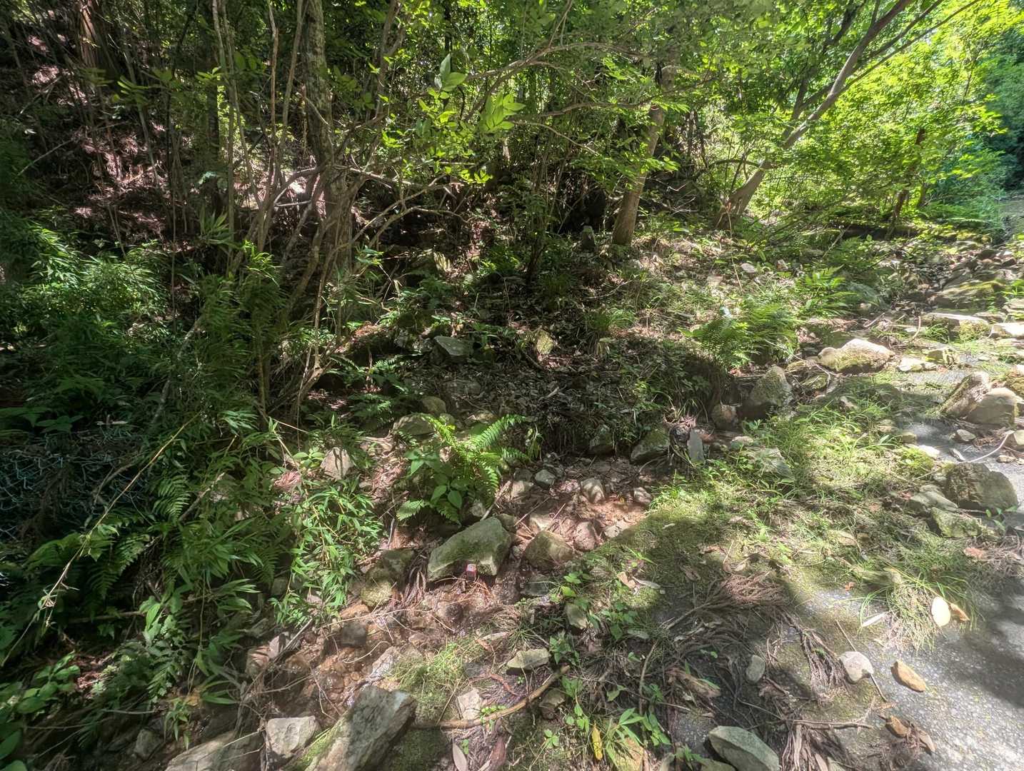 三徳山 往復コースの写真