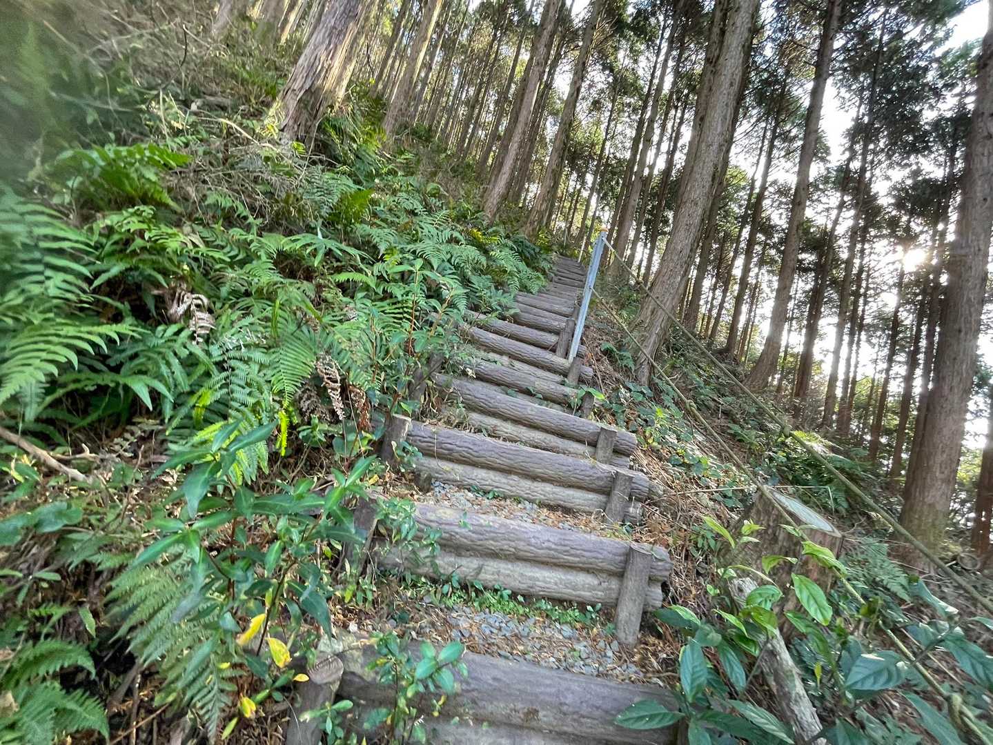 まだ、余裕、、、