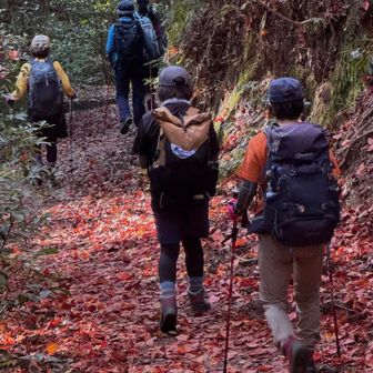 無事下山🍁✨✨✨