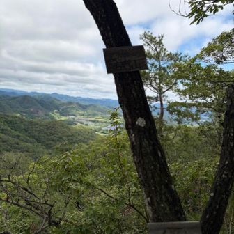 毛野山🪧