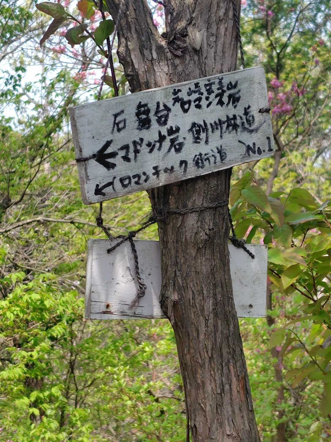 どんなところなかな?