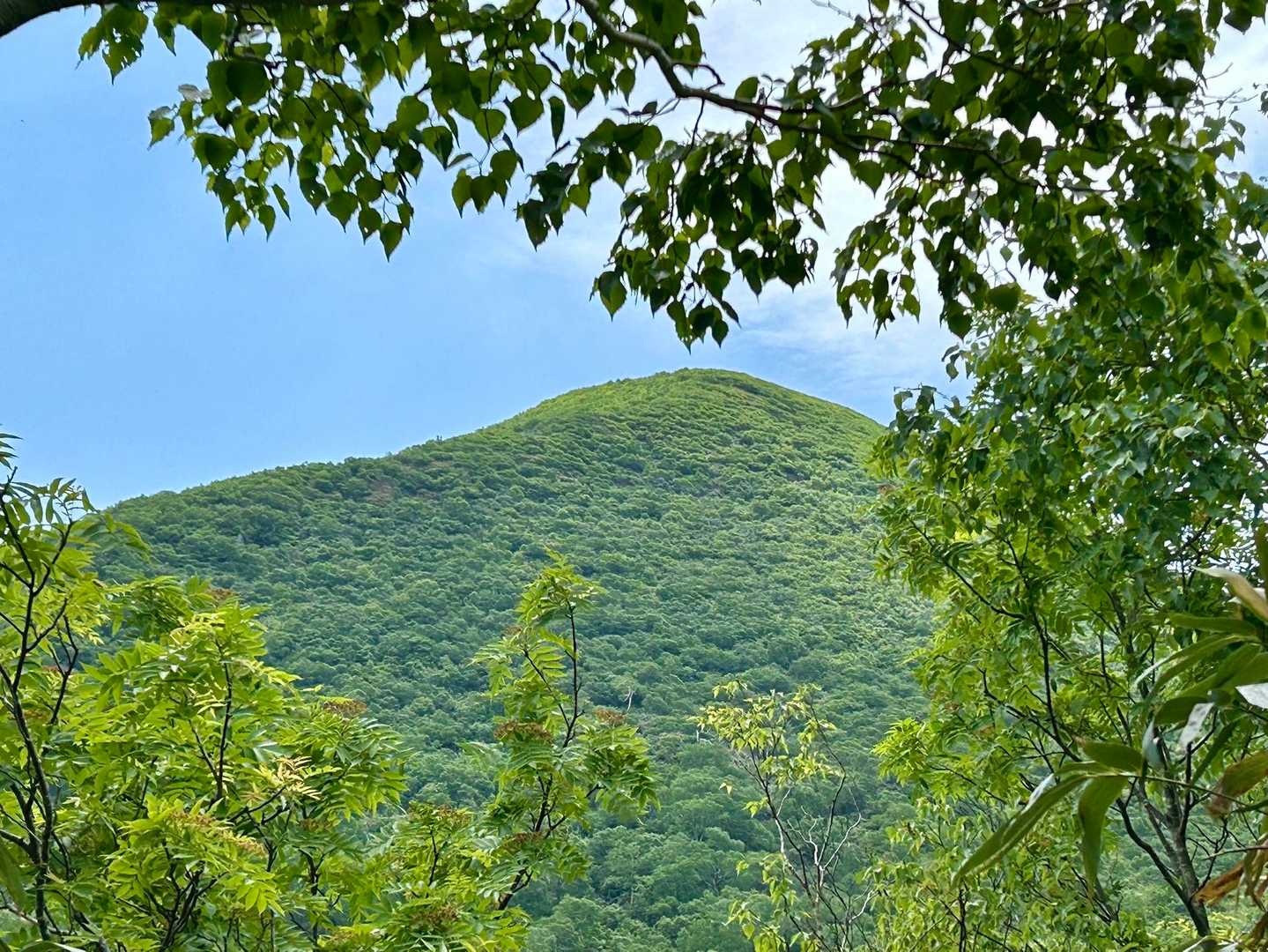 神仙沼登山口-ビーナスの丘-チセヌプリ 周回コースの写真