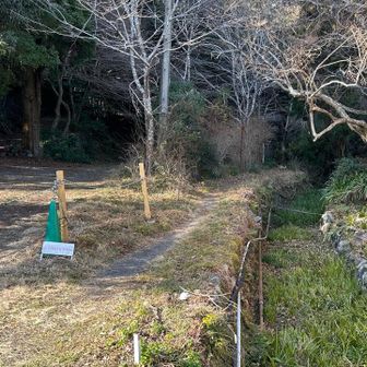 ここから降りてくるルートもある感じ

ロード長〜い😅