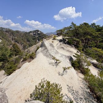 真っ白な砂が広がってきました。