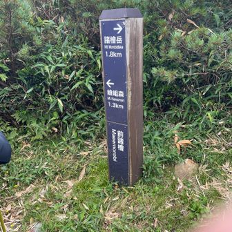 三つ目、前諸檜
指も写ってる😅