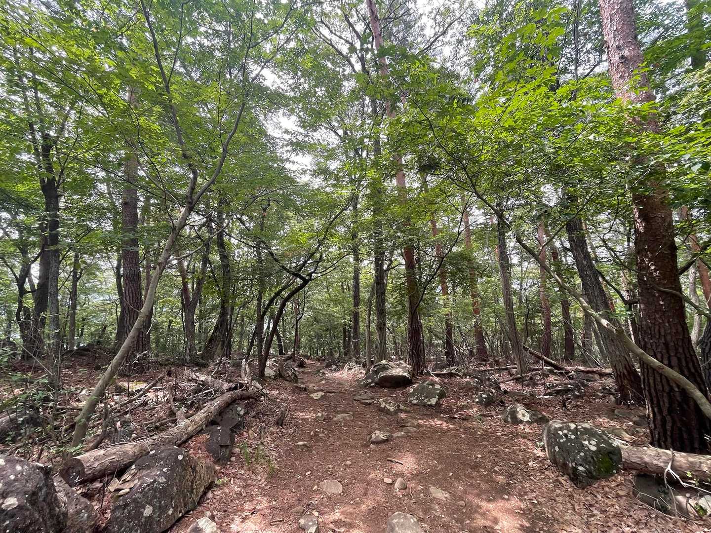 すてきだー武田の杜🌲✨